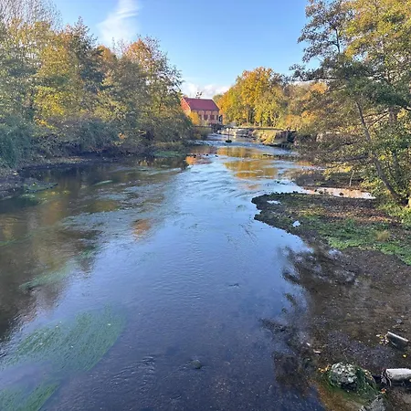 Independante Dans Notre Cour Sainte-Jamme-sur-Sarthe