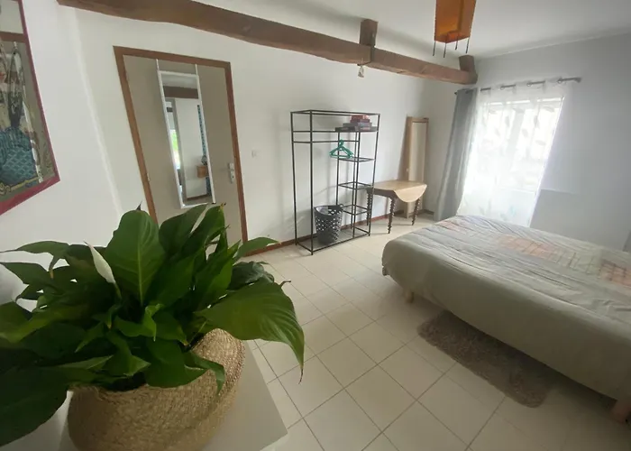 Independante Dans Notre Cour