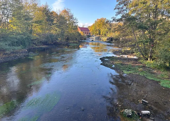 Independante Dans Notre Cour Sainte-Jamme-sur-Sarthe